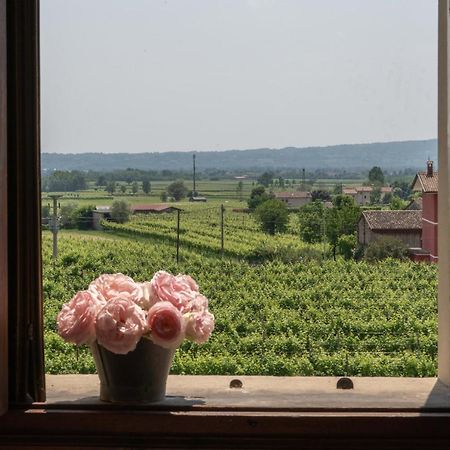 Fiori&Vigne Di Cecilia Marcon Villa Farra di Soligo Buitenkant foto