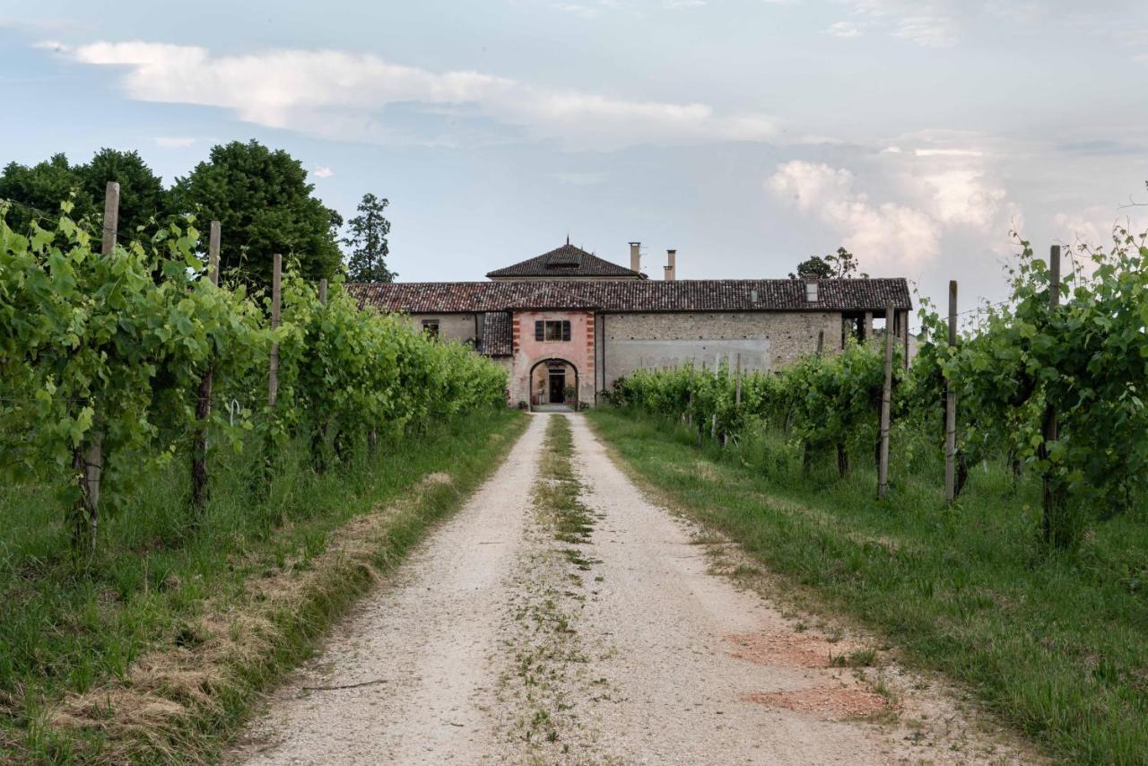 Fiori&Vigne Di Cecilia Marcon Villa Farra di Soligo Buitenkant foto