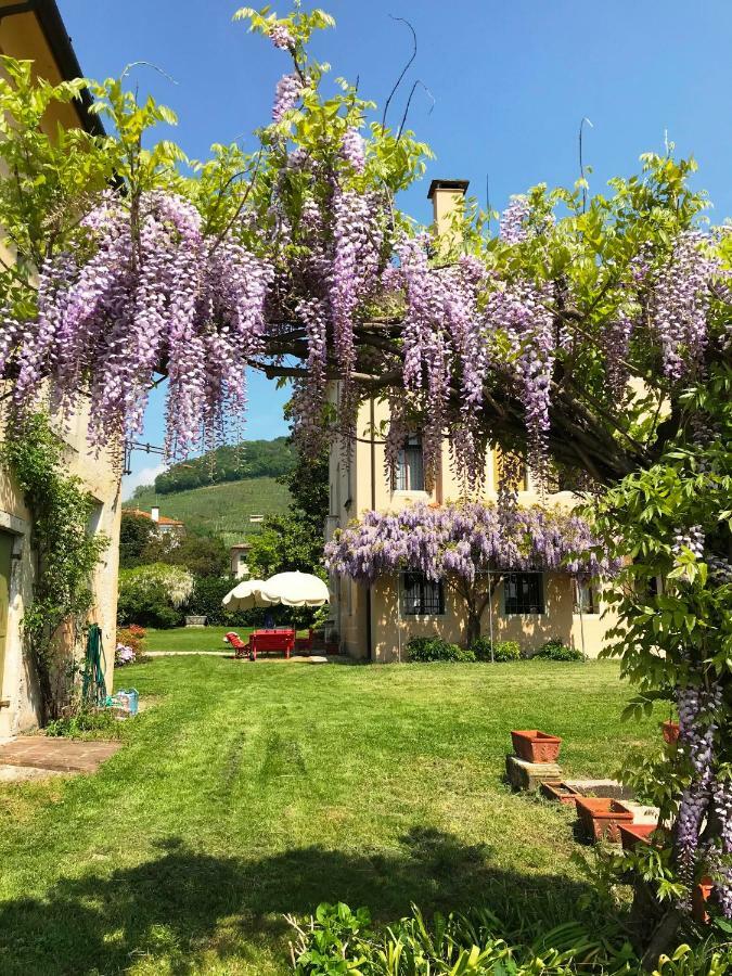 Fiori&Vigne Di Cecilia Marcon Villa Farra di Soligo Buitenkant foto